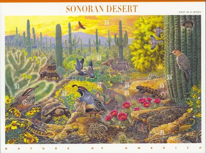Desert Ecosystem Diorama