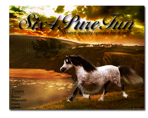 Six4purefun.png