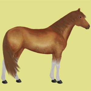 Welshanimated.gif