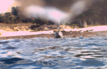 Monterey-Thurs-Seal.gif