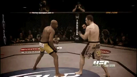 silva-matrix-1.gif