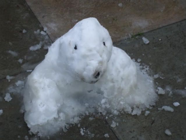 Snow bear