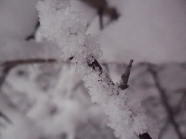 Winter 13