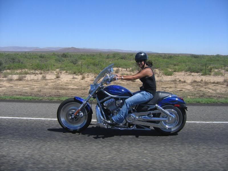 IMAGE: http://i65.photobucket.com/albums/h205/HotRod718/Davis%20Mtn%20Blizzard%20Run%20May%202006/2401279240082479868hRQOvm_ph.jpg