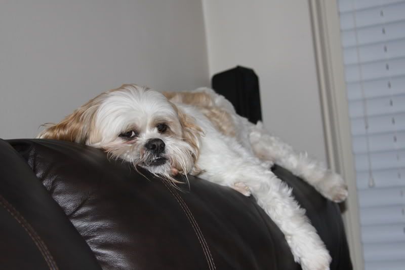 IMAGE: http://i65.photobucket.com/albums/h205/HotRod718/IMG_0012.jpg