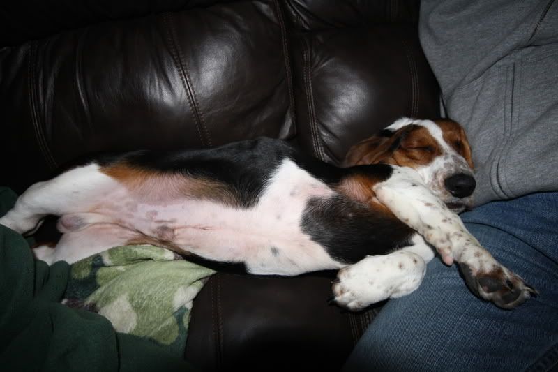 IMAGE: http://i65.photobucket.com/albums/h205/HotRod718/Picture088.jpg