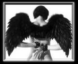 hancuffed angel Pictures, Images and Photos