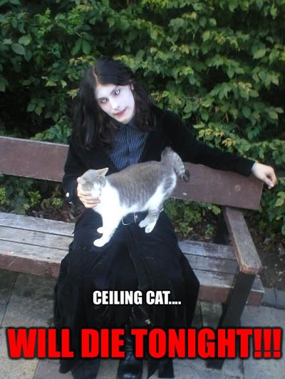 http://i65.photobucket.com/albums/h206/cat_guts/ceilingcat.jpg