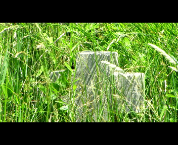 child15_1_zps7b736699.gif