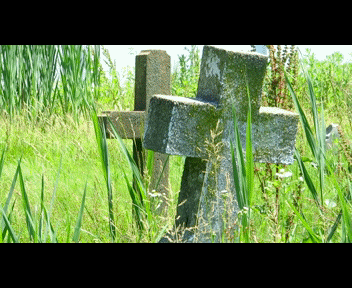 child16_1_zpsd013da61.gif