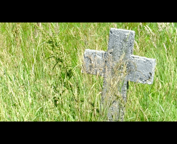 child4_1_zpsa3963286.gif