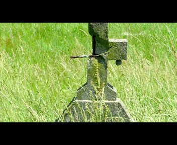 child5_1_zpsb8d2d3d6.gif