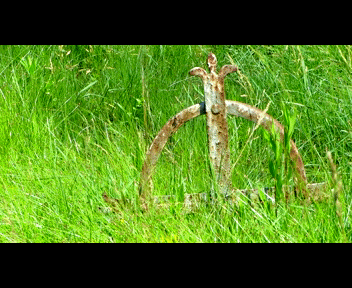child6_1_zps2b9755b9.gif