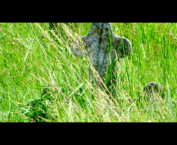 child9_1_zps01513cfa.gif