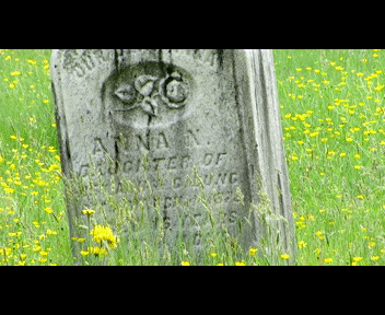 camdenn2_1_zpsd419ba32.gif