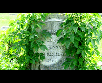 camdenn4_1_zps6e1f8006.gif