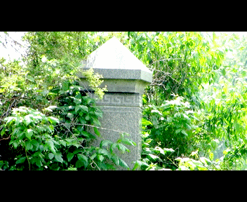camdenn6_1_zps33fb5d32.gif