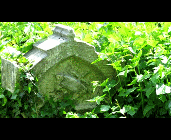 camdenn7_1_zpse0513dab.gif