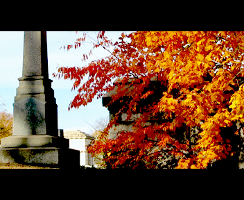 friday22_1_zps563f85c2.gif