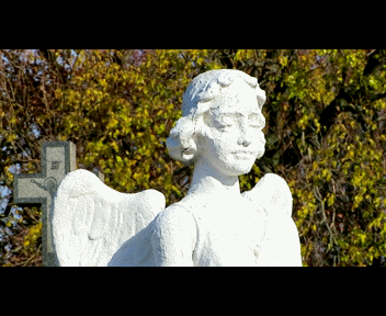 friday6_1_zps95934efd.gif