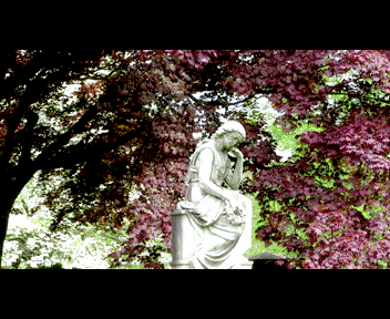 last10_1_zpsdfdc9e3c.gif