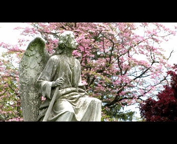 last1_1_zpsa43dd48a.gif