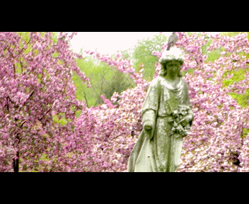 last3_1-1_zpsa6090833.gif
