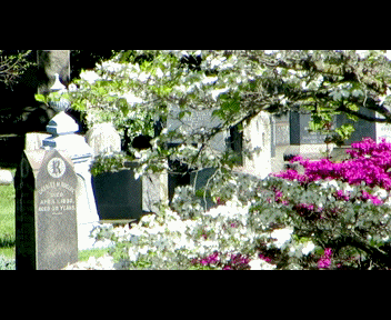last9_1_zpse649a93e.gif