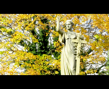 mount7_1_zpsc9bdb29c.gif