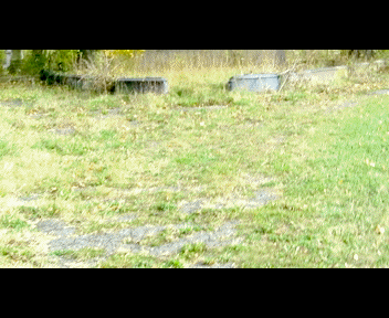 mountt_1_zps28ca9b72.gif