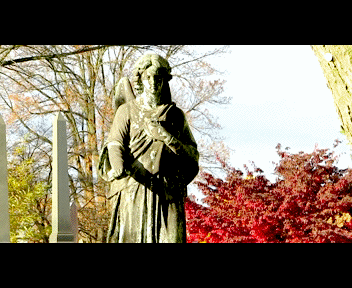 phili10_1_zps3de5e5df.gif