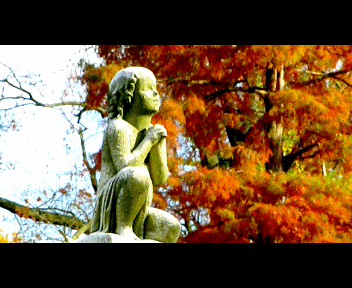 phili13_1_zpsf99789ef.gif