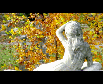 phili1_1_zpsb9308826.gif