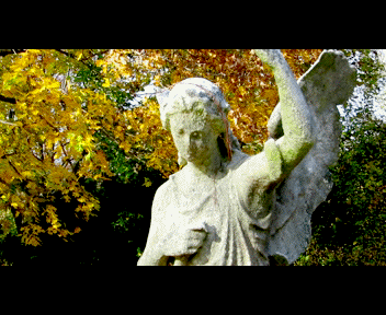phili3_1_zps28f0546d.gif