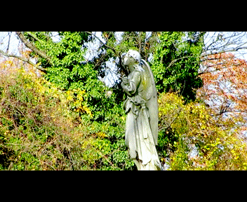 phili5_1_zps487480b9.gif