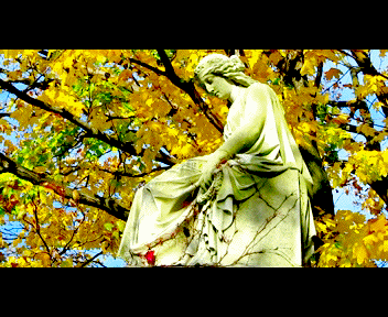 phili7_1_zps27a7af9a.gif