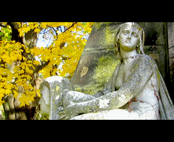 phili8_1_zps970b06d4.gif