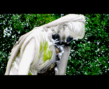 MVI_1322_1_zpsfeff6d31.gif