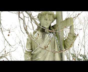MVI_1325_1_zps10789e1e.gif
