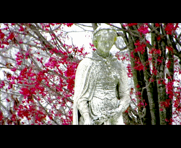 MVI_1328_1_zps1f026a11.gif