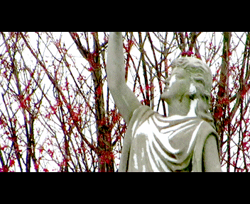 MVI_1331_1_zps309c0fe2.gif