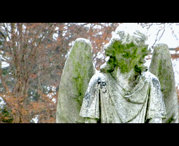 MVI_1334_1_zpsf0cd1866.gif