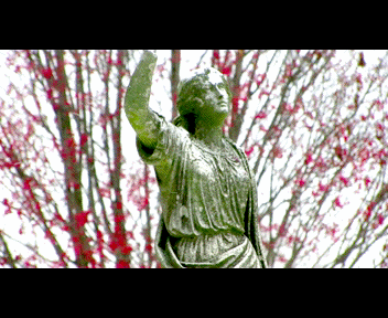 MVI_1339_1_zpsb9f18617.gif