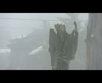 fog2_1_zpsec66efd9.gif