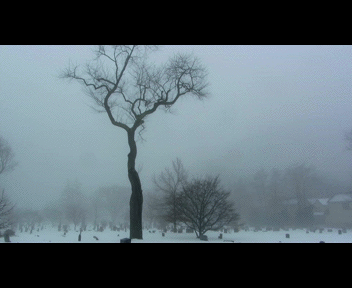 fog5_1_zpsd53d7fe8.gif