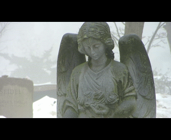 fog7_1_zpse733fd36.gif