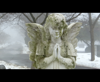 fog9_1_zps74c401e9.gif