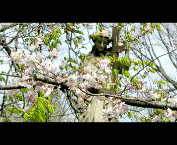 view1_1_zps829aa903.gif