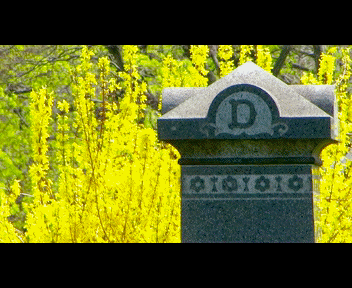 view2_1_zpsc46bfc89.gif