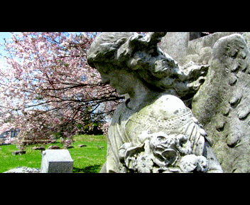 view4_1_zps34f0bc3f.gif